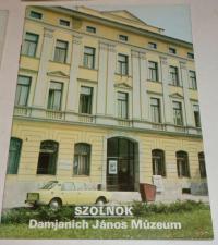 Szolnok. Damjanich János Múzeum
