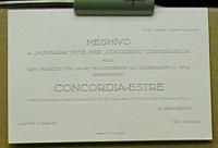 Báli meghívó.  Budapest. 1930