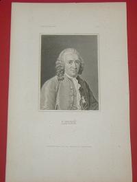 Linné