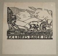 Farkas Dezső: Ex libris Bauer Imre