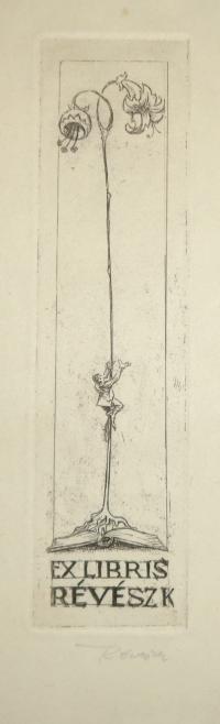 RÉVÉSZ Kornél: Ex libris Révész K