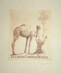 RÉVÉSZ Kornél: Ex libris Cornelii Révész