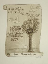 Dániel Viktor (1926 - 2001): Szűcs Mária és Imre István....... 19729x6 december 15-én