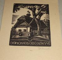 Sterbenz Károly: Domonkos Ottó könyve